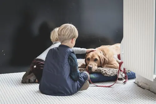 Animal Aftercare: Providing Compassionate Memorial Services for Your Beloved Pets.
