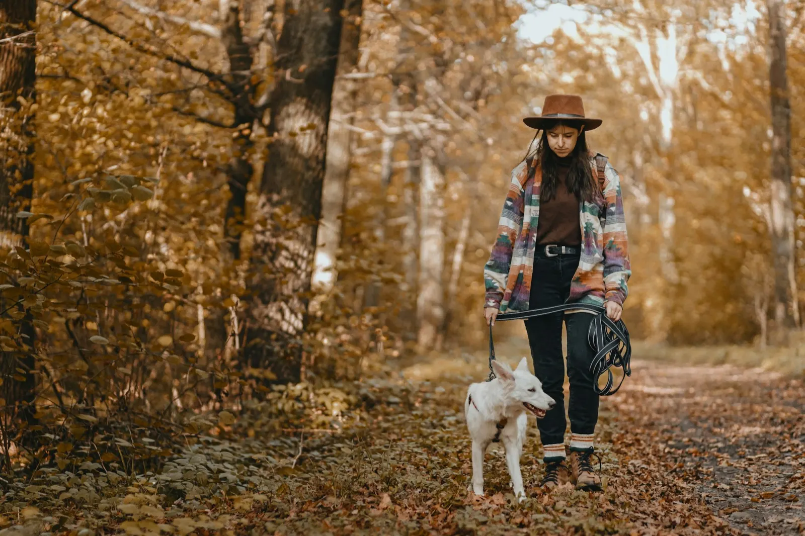Can I Be Buried with My Pets' Ashes? Exploring Options with Animal Aftercare.