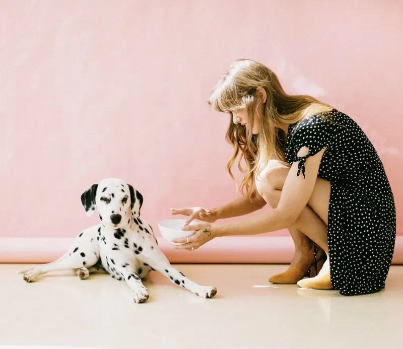 Eco-Friendly Pet Cremation: Exploring Sustainable Options .