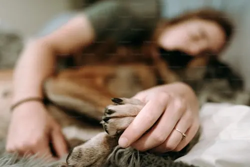 Emergency Pet Euthanasia: Animal Aftercare's Knowledgeable and Compassionate Service.