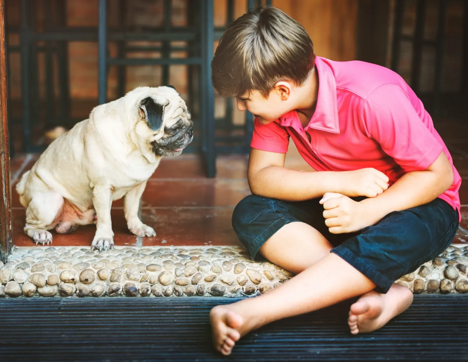 Gifts for Death of Dog: Thoughtful Remembrances from Animal Aftercare.
