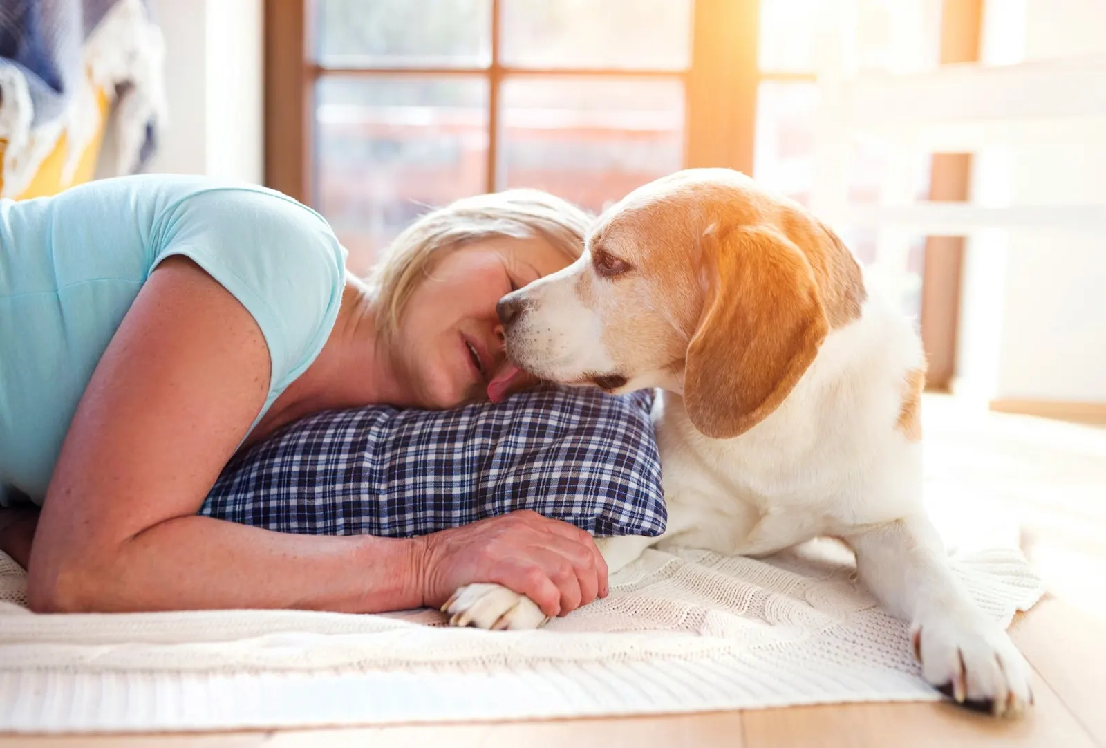 Options for Pet Remains: A Guide to Animal Aftercare Solutions.