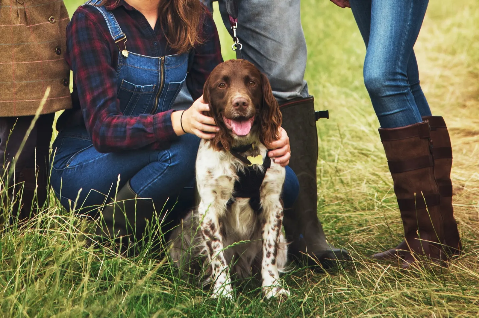 Pet Casket Options: Animal Aftercare's Guide to Choosing the Right One.