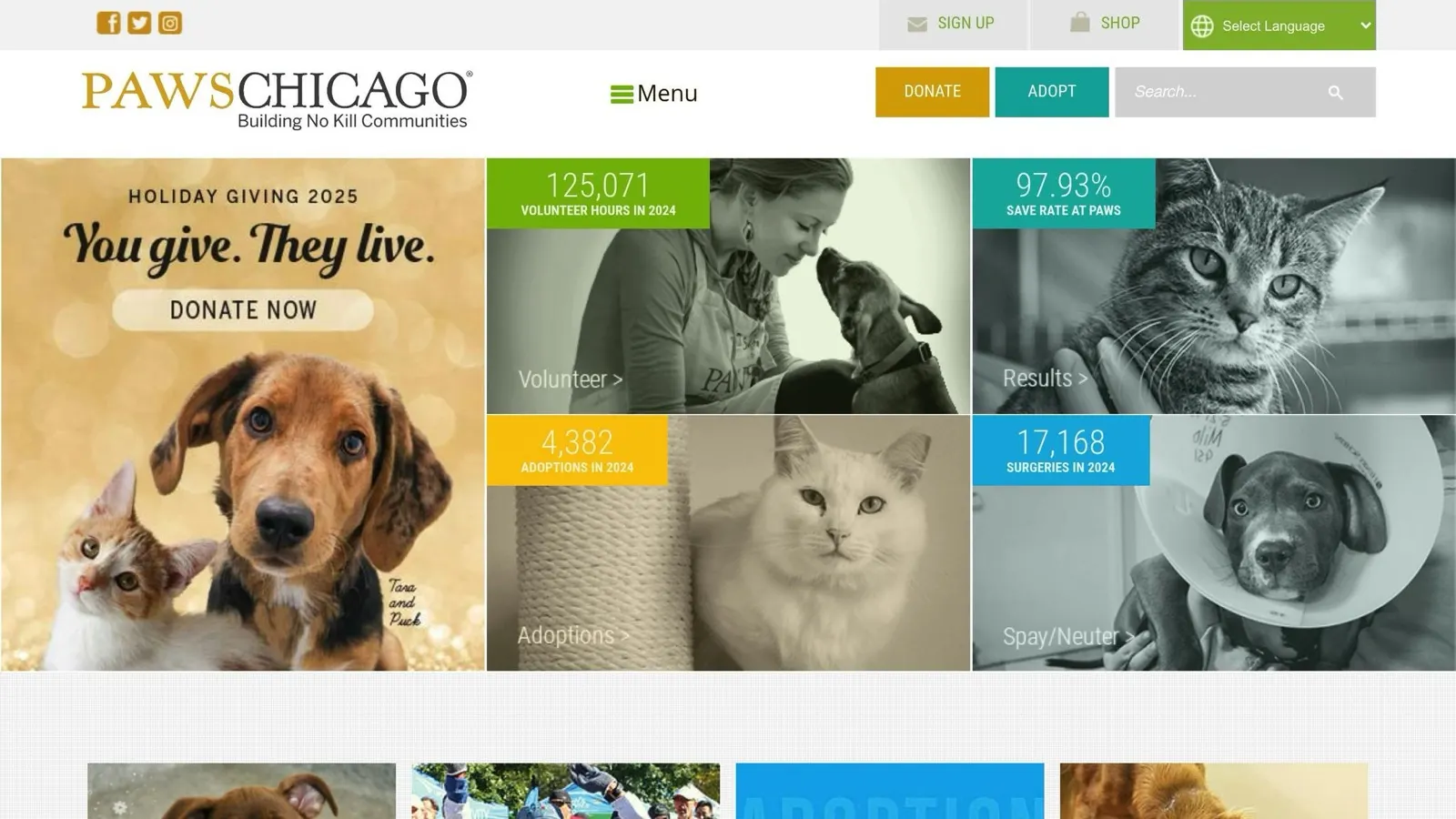 PAWS Chicago