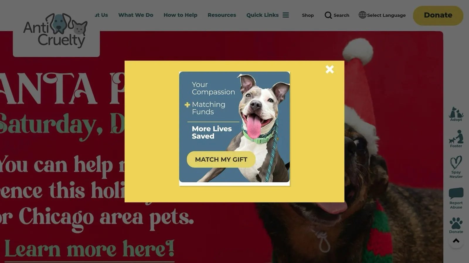 Anti-Cruelty Society