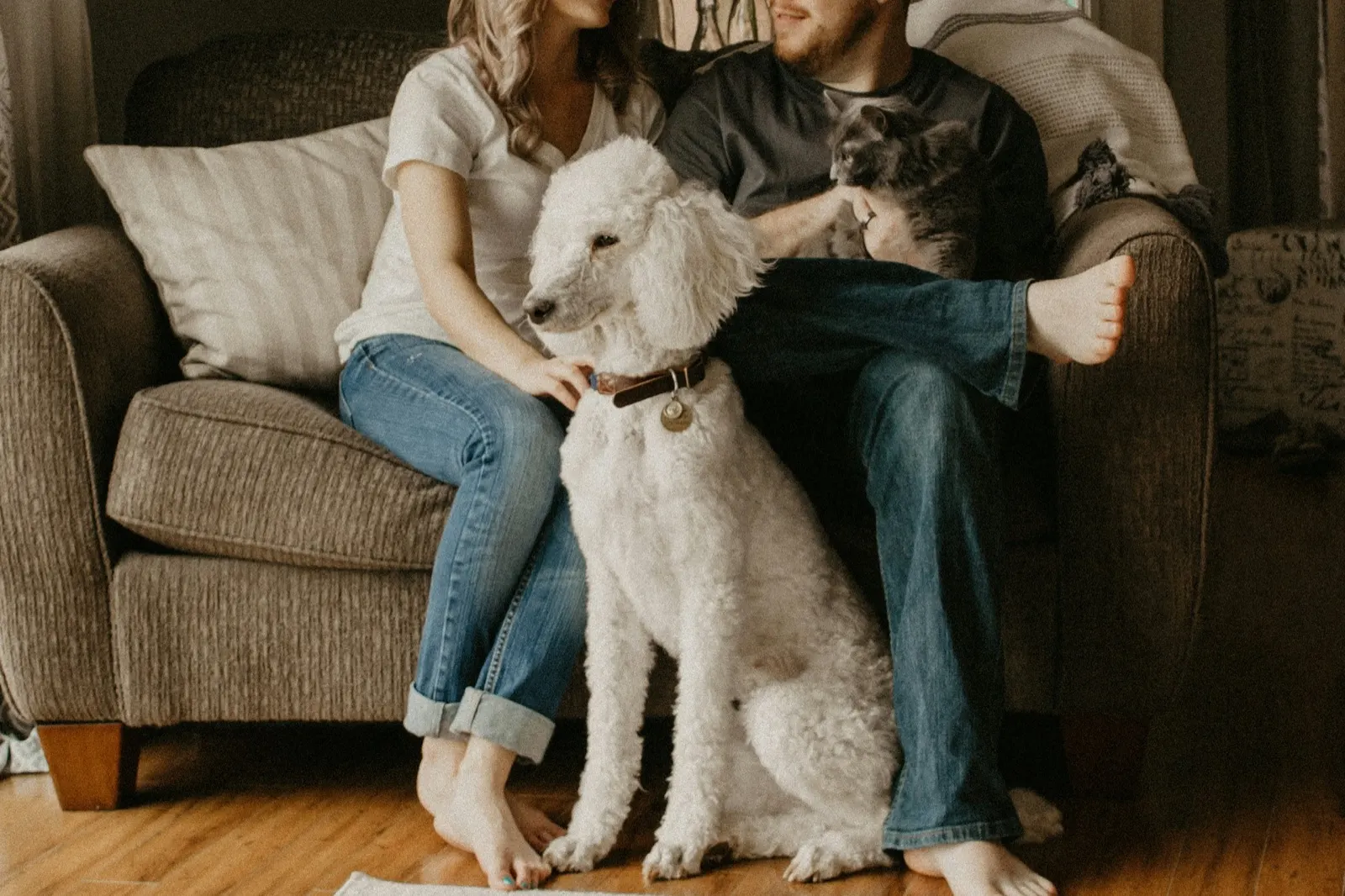 Animal Aftercare: Things to Do Before Putting Your Dog Down.