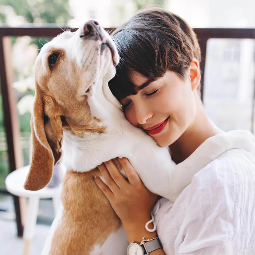 Understanding the Grief Process: Coping with the Loss of a Pet.