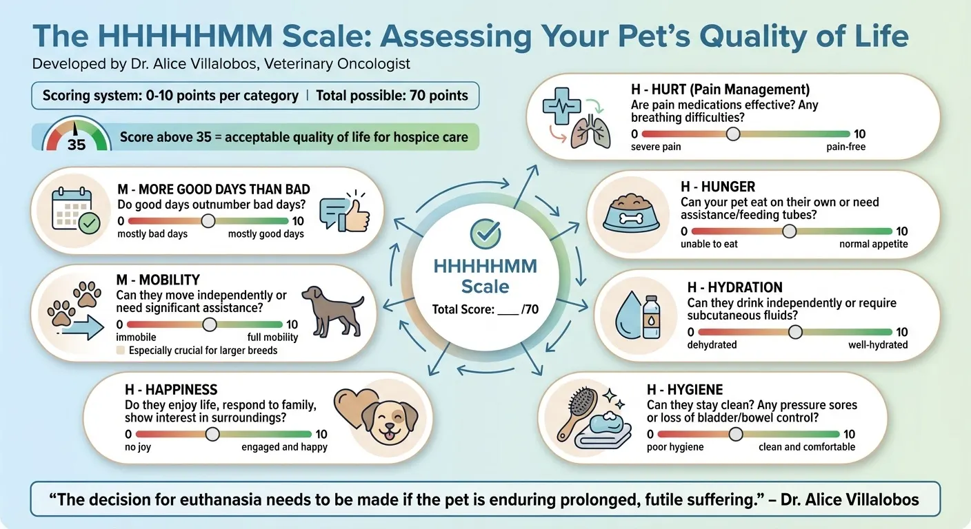 HHHHHMM Quality of Life Scale for Pets: 7 Key Factors to Assess
