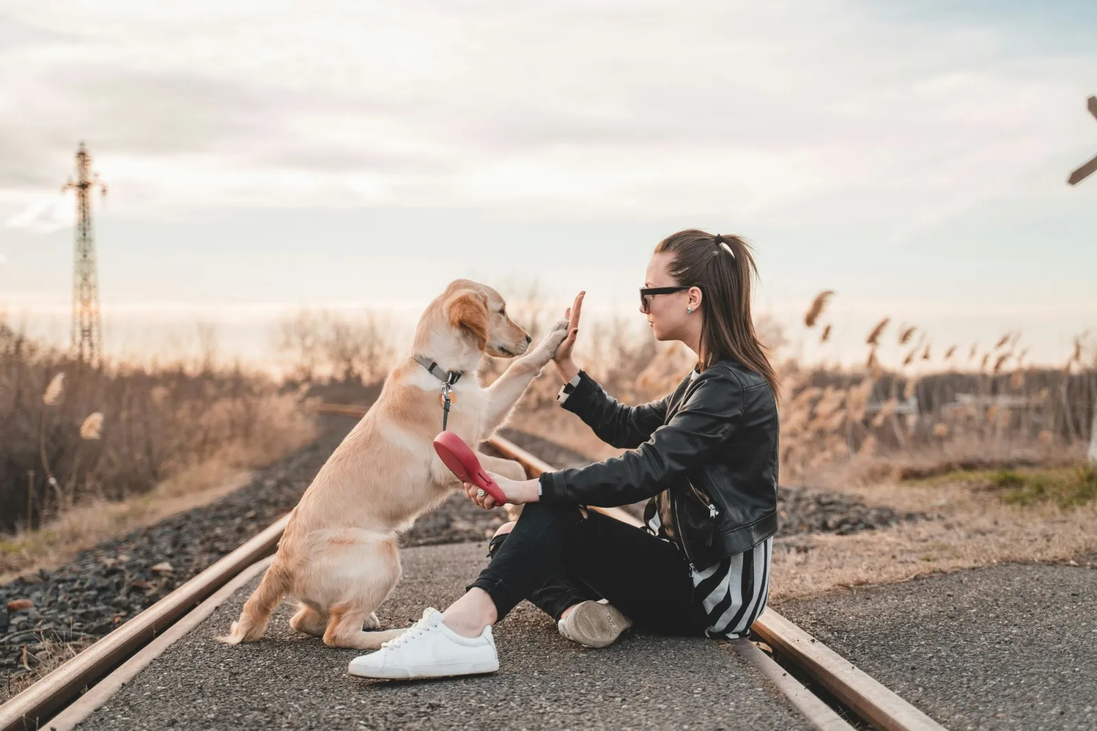 A woman sharing a quiet moment with her dog at sunset