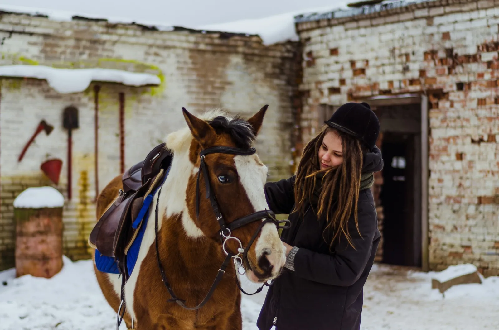 Equine Cremation